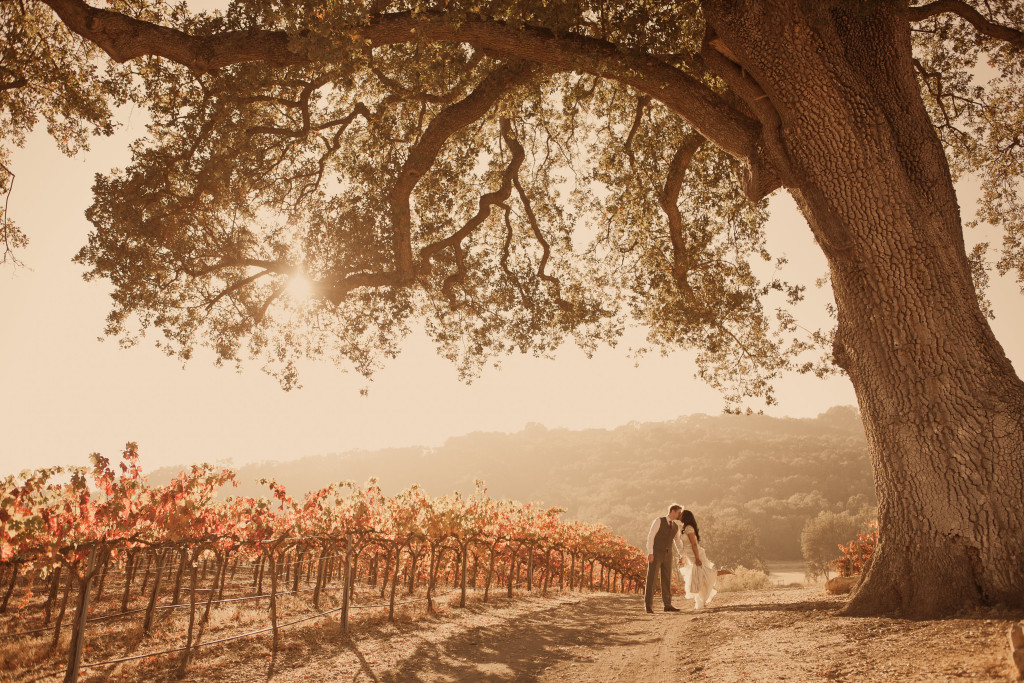 View More: http://applemoon.pass.us/amanda-joel