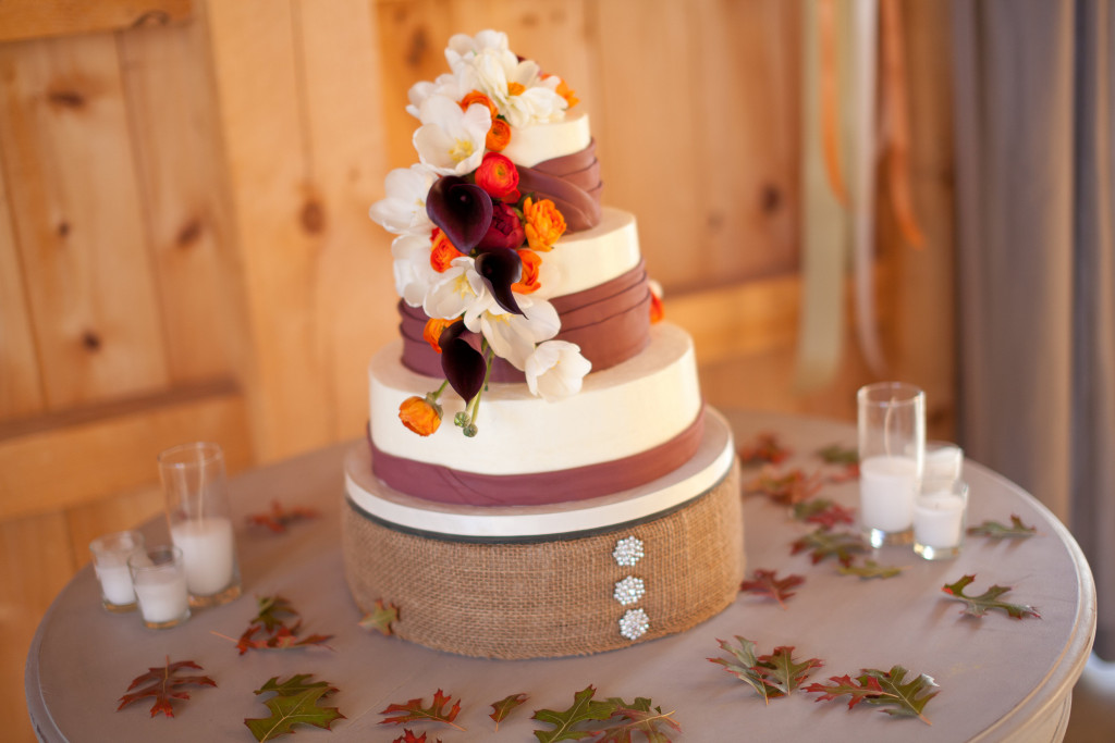 View More: http://applemoon.pass.us/amanda-joel