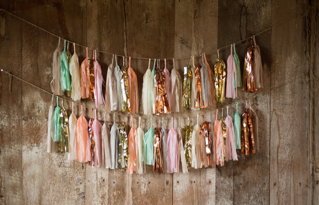 View More: http://justinandmary.pass.us/ashleyjeremywedding